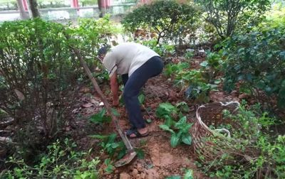 雅樂居物業綠化管理 用心服務每一天0901