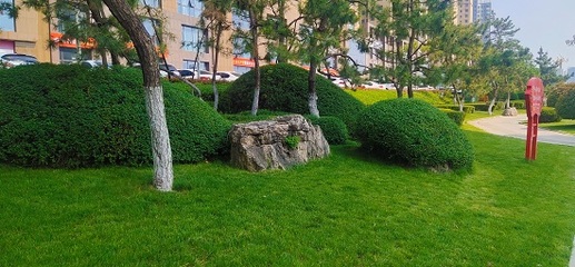 臨沂市臥虎山公園 加強(qiáng)綠化精致管養(yǎng)，扮靚城區(qū)迎五一