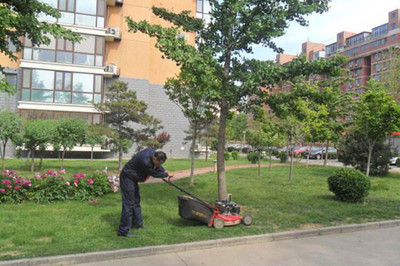 茂名綠化養護流程與綠化管理實踐