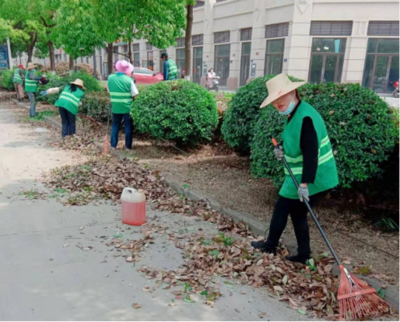 城管局扎實(shí)開展春季綠化養(yǎng)護(hù) 全面提升城市綠化管理水平