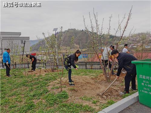八道溝人民法庭開展庭院綠化活動，助力“加強管理年”落實綠化管理