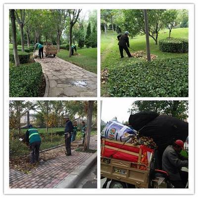 縣住建局“三舉措”抓好秋季綠化養護工作