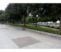 綠化管理產(chǎn)品庫 提升城市綠化品質(zhì)與效率的智慧工具